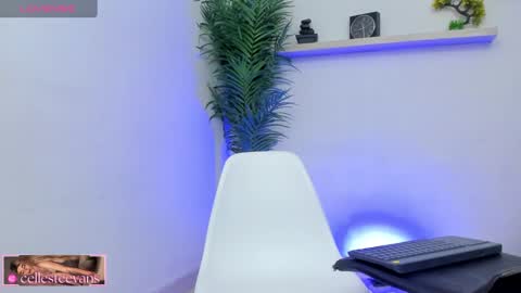 Snapshot of cellesteevans chatting on February 2025 03:38:01 PM Celeste online show from February 2025 03:38:01 PM