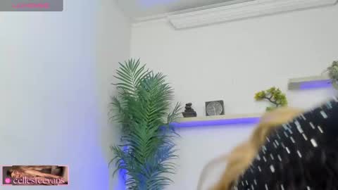 Snapshot of cellesteevans chatting on March 2025 03:37:01 PM Celeste online show from March 2025 03:37:01 PM