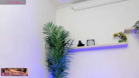 Snapshot of cellesteevans chatting on March 2025 07:28:02 PM Celeste online show from March 2025 07:28:02 PM