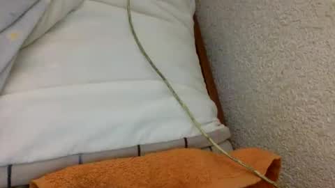 centinela999 online show from May 2026 10:17:01 PM