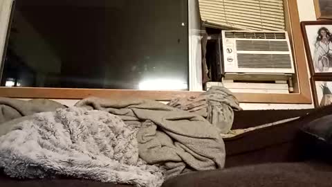 Snapshot of chad1980420 chatting on February 2026 03:23:02 AM Chad420247 online show from February 2026 03:23:02 AM