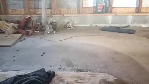 chadr1616 online show from November 2025 03:52:02 PM