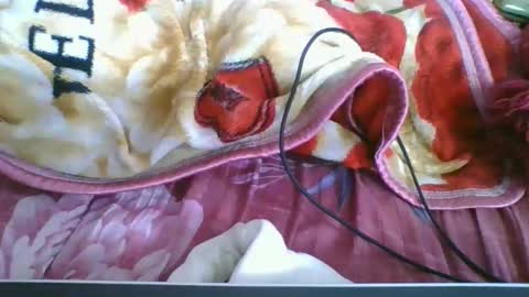chantale483461 online show from May 2026 05:18:02 PM