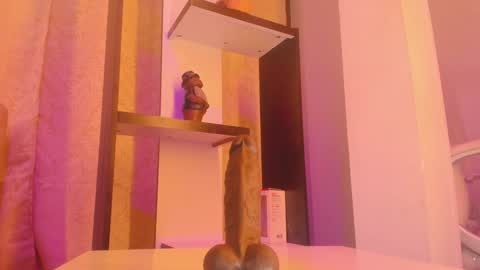 Chantall online show from January 2025 04:39:02 AM