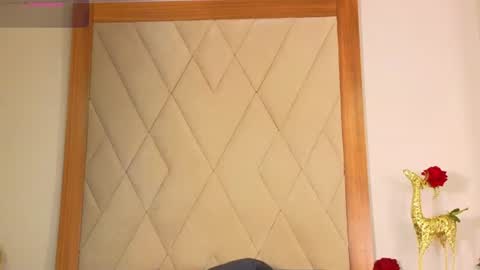 Snapshot of charlesbrown_ chatting on June 2026 03:27:01 PM charlesbrown_ online show from June 2026 03:27:01 PM