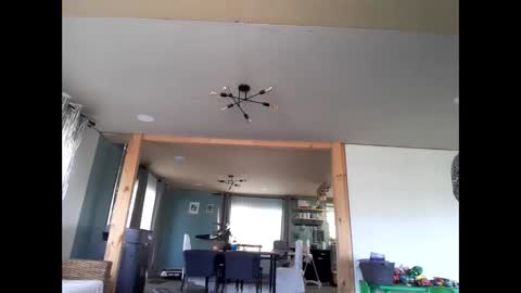 I am Charlie online show from September 2025 01:01:01 PM