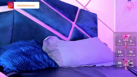 Snapshot of charlie_williams_1 chatting on March 2025 08:33:02 PM CHARLIE online show from March 2025 08:33:02 PM