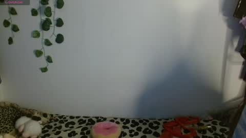 Ale punky online show from May 2026 02:53:02 AM