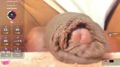 Char online show from February 2025 11:11:02 PM