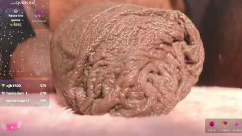 Char online show from March 2025 01:01:02 AM