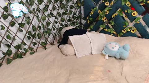 Snapshot of charly_evans60 chatting on February 2025 12:14:01 AM charly_evans60 online show from February 2025 12:14:01 AM