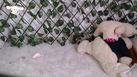 Snapshot of charly_evans60 chatting on February 2025 09:52:02 PM charly_evans60 online show from February 2025 09:52:02 PM