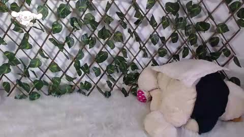 Snapshot of charly_evans60 chatting on February 2025 09:57:01 PM charly_evans60 online show from February 2025 09:57:01 PM