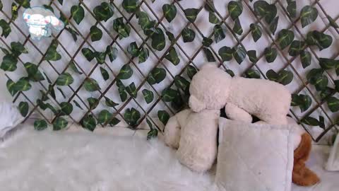 Snapshot of charly_evans60 chatting on February 2025 10:09:02 PM charly_evans60 online show from February 2025 10:09:02 PM