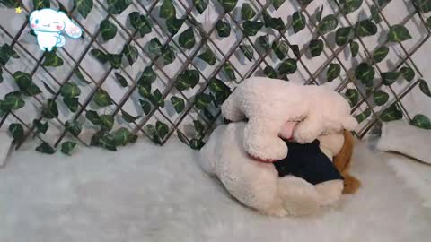 Snapshot of charly_evans60 chatting on March 2025 11:09:02 PM charly_evans60 online show from March 2025 11:09:02 PM