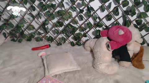 Snapshot of charly_evans60 chatting on March 2025 02:46:02 AM charly_evans60 online show from March 2025 02:46:02 AM