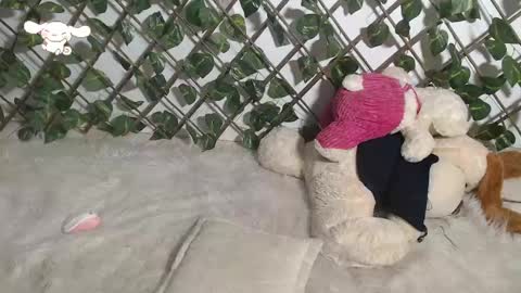 Snapshot of charly_evans60 chatting on March 2025 04:49:02 AM charly_evans60 online show from March 2025 04:49:02 AM