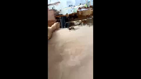 chasejase20333 online show from December 2024 07:37:01 AM