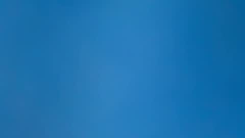 chat306571 online show from April 2026 03:38:02 PM