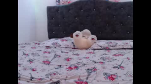 adhara online show from March 2026 06:19:01 AM