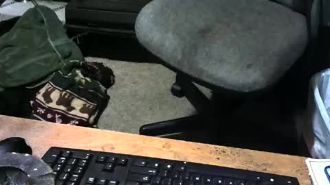 chefy online show from December 2025 10:54:01 AM