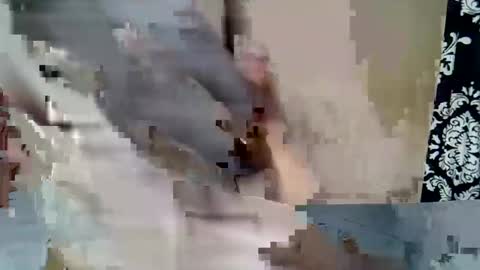 Snapshot of chekyguys chatting on February 2026 06:38:01 PM Keve Meddy online show from February 2026 06:38:01 PM