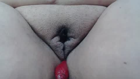 Cheila online show from February 2026 01:54:01 PM