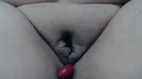 Cheila online show from April 2026 02:08:01 PM