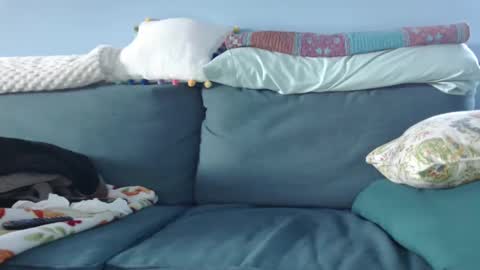 Snapshot of chelseasentra1 chatting on January 2025 08:37:01 PM Chelsea online show from January 2025 08:37:01 PM