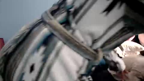 Snapshot of chelseasentra1 chatting on January 2026 02:42:02 PM Chelsea online show from January 2026 02:42:02 PM