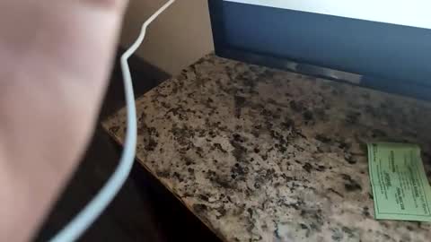 chelsee lynn online show from December 2024 08:10:02 AM