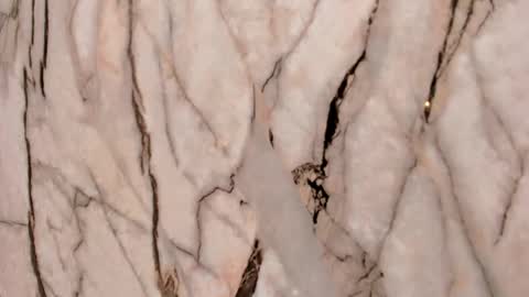 Emma  online show from November 2025 11:31:02 AM