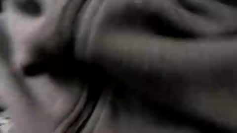 chicagosuburbs7 online show from January 2026 05:17:01 PM