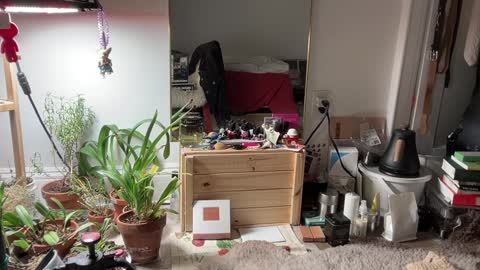 judith online show from February 2025 11:36:02 PM