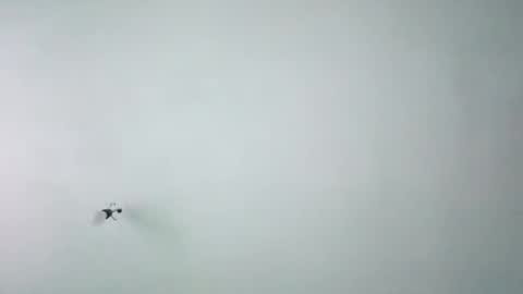 Snapshot of chispahot69 chatting on November 2025 07:53:01 AM chispahot69 online show from November 2025 07:53:01 AM