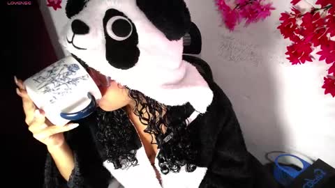 Snapshot of chleo_rosse chatting on April 2026 03:42:01 AM chleo_rosse online show from April 2026 03:42:01 AM