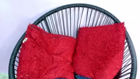 chloe online show from December 2024 05:17:02 PM