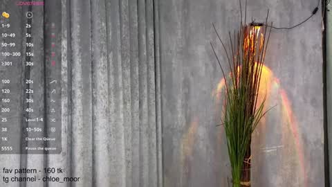 Snapshot of chloe_moor chatting on December 2024 09:00:02 PM Chloe online show from December 2024 09:00:02 PM