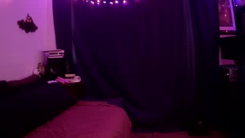 Chloekissxo online show from May 2026 08:03:01 PM