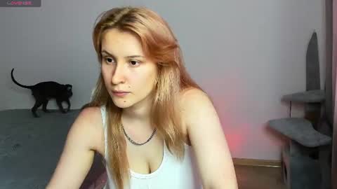 choco_meowx online show from June 2026 08:53:01 AM