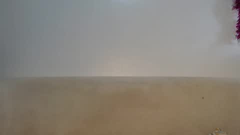 Lofti online show from April 2026 10:24:01 AM