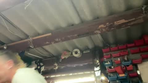 Chris online show from December 2024 02:42:01 AM