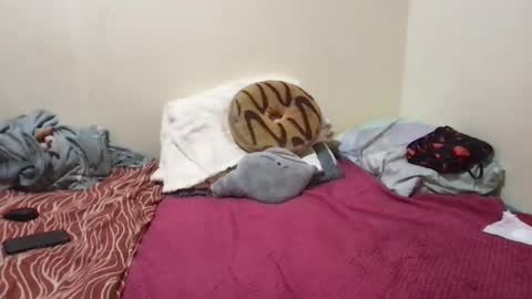 chris_jake1 online show from March 2026 11:04:01 AM