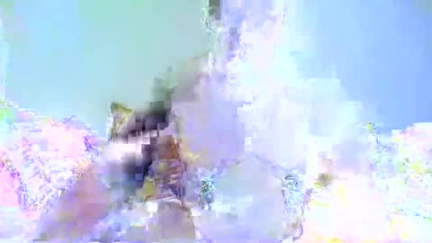 Snapshot of chrispainpig chatting on January 2025 03:33:02 PM Chrispainpig torture bdsm masochist slave submissive hardcore anal CBT humiliation online show from January 2025 03:33:02 PM