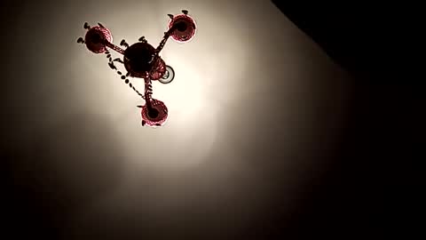 Vicki and Chris online show from November 2025 06:21:01 PM