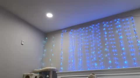 Christy Love online show from December 2024 01:24:01 AM