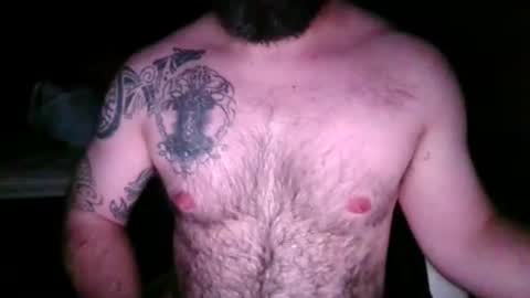 chub bear 99 online show from April 2026 01:41:01 AM