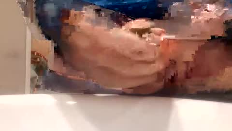 chule63 online show from January 2025 09:47:01 AM