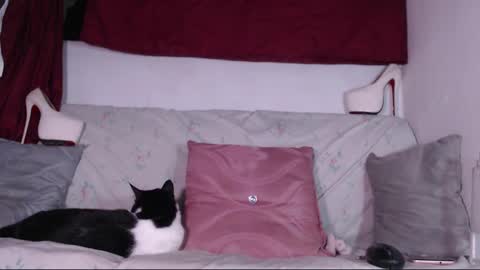 Snapshot of cicimom chatting on January 2025 03:32:02 AM cicimom online show from January 2025 03:32:02 AM