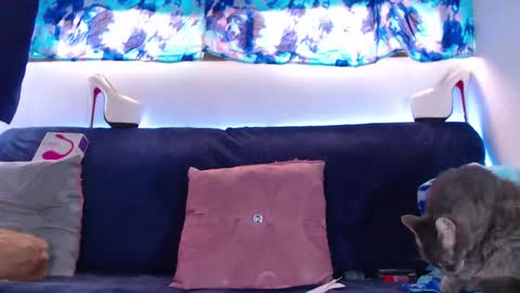 Snapshot of cicimom chatting on February 2025 05:20:01 PM cicimom online show from February 2025 05:20:01 PM